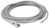 Dose + Kabel Typ 24  5m