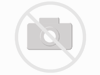 Graph Paper - For Thermo-Hygrograph 252